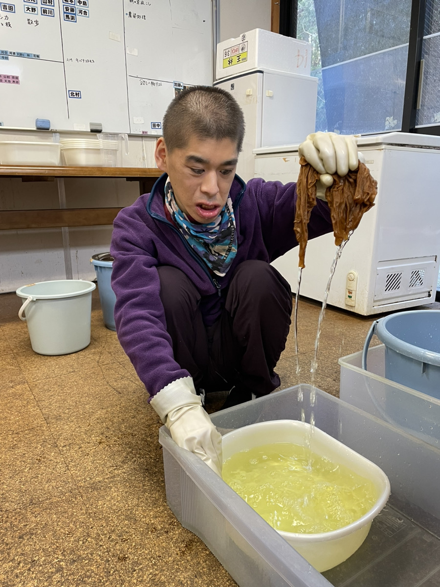 安い直販店 昆布で作った創作ベスト ・ザクロ染めの無地.明治期の縞